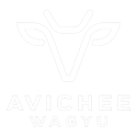 logo avichee